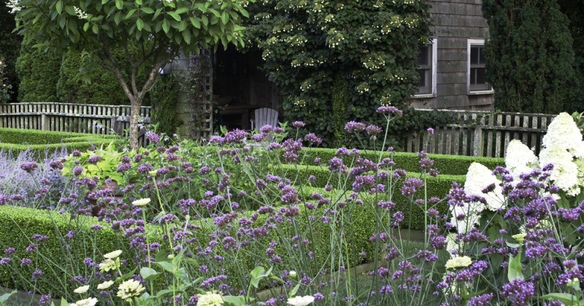 Barefoot Contessa | Summer Garden Madness