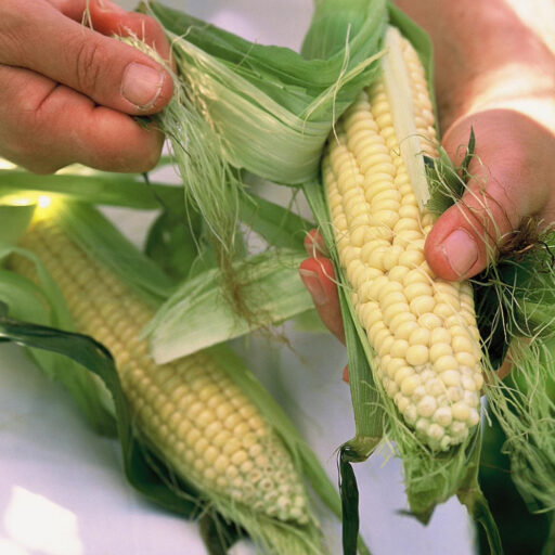 Corn Week!