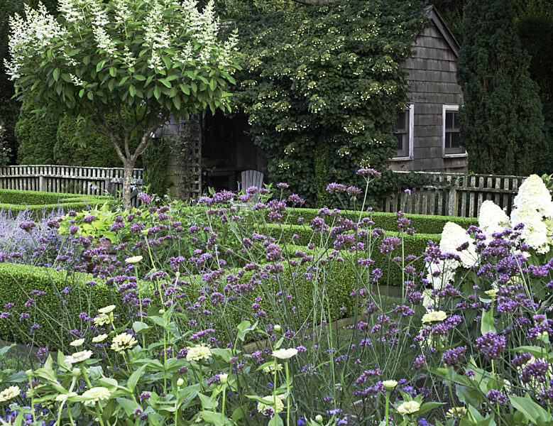 Barefoot Contessa Summer Garden Madness Boxwood square lines 6mm x 6mm square lines.new product. barefoot contessa summer garden madness