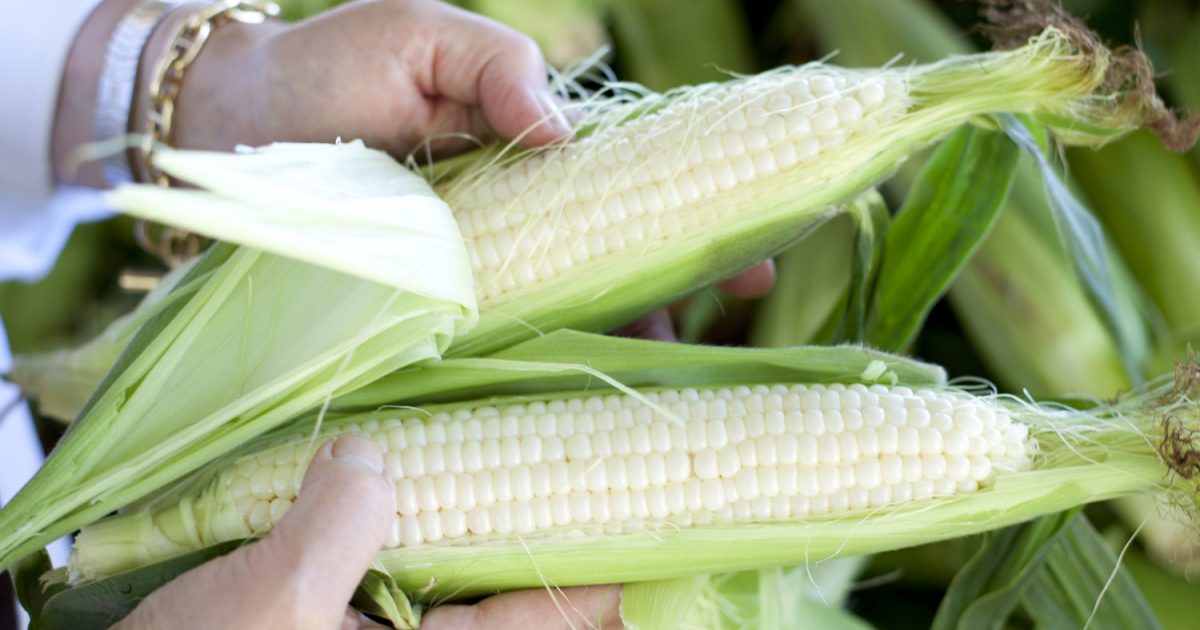 Sagaponack Corn Pudding | Recipes-image