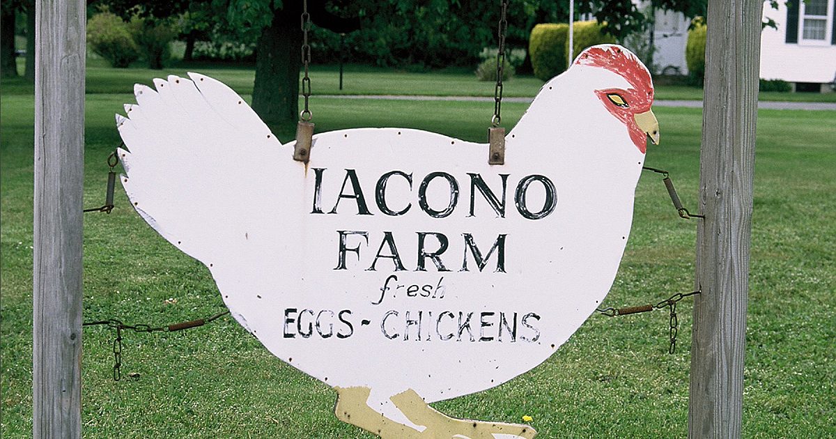 Barefoot Contessa Turkey Meat Loaf Recipes This week's project runway dinner 2 1/2 lbs. turkey meat loaf recipes